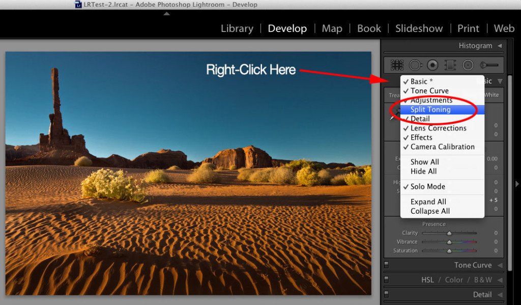 Lightroom Tip: Hiding Panels - Lightroom Killer Tips