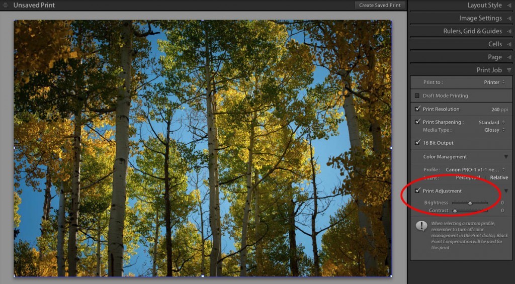 Lightroom Q&A What's the Best Way to Brighten Your Photos for Print