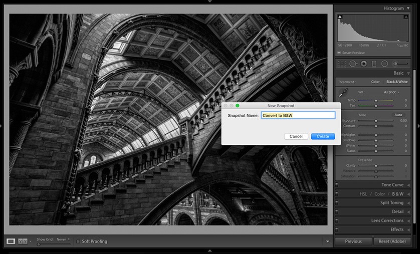 Getting a B&W Before/After of Your B&W Editing - Lightroom Killer Tips