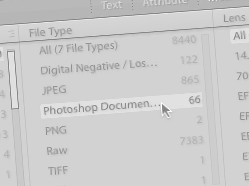Get rid of those extra TIFFs & PSDs in your Lightroom Library fast
