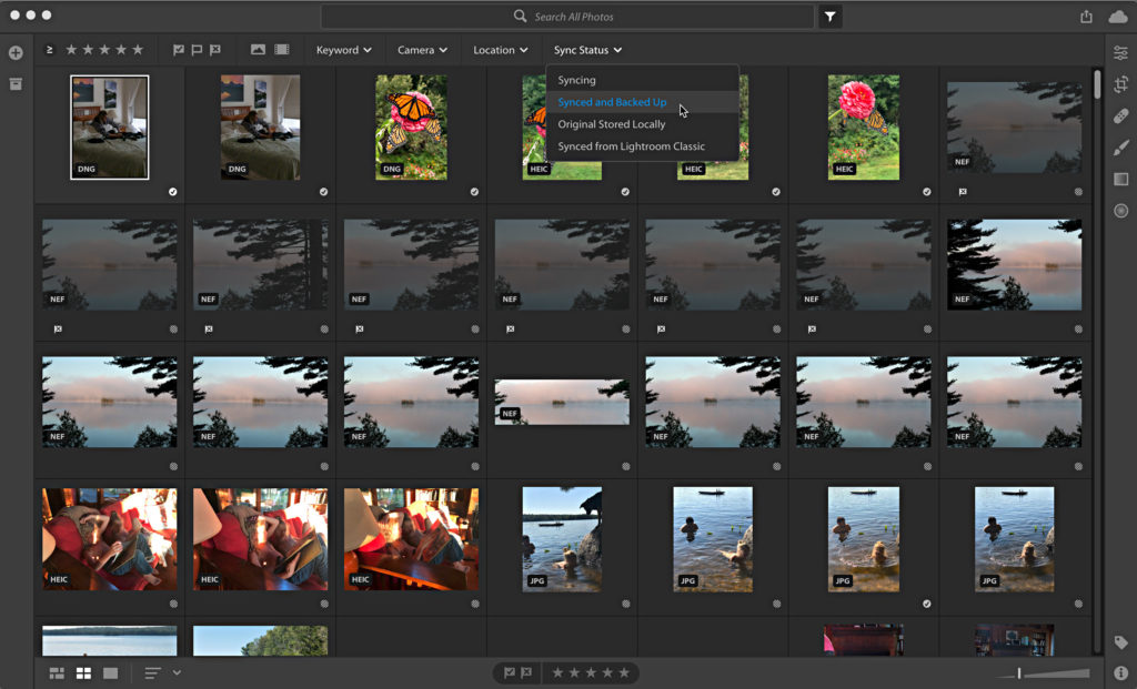 Using Lightroom CC for Desktop as a Window to Cloud Storage Lightroom
