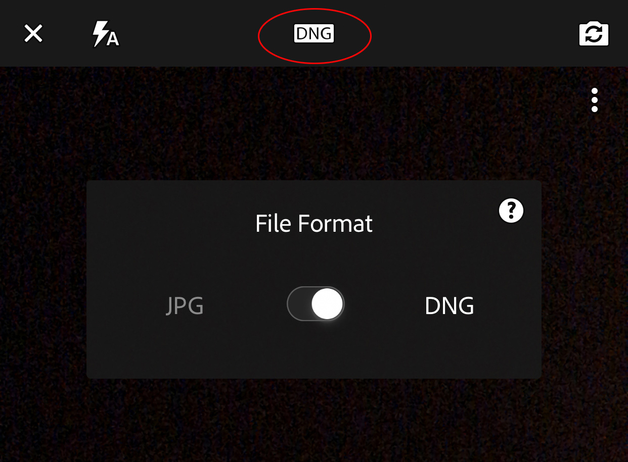 Five Useful Things in the Cloudbased Lightroom Mobile Camera App