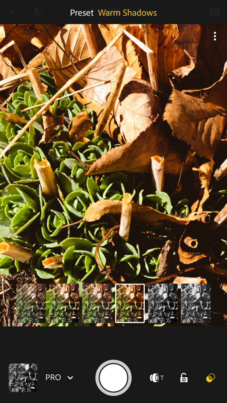 Five Useful Things in the Cloudbased Lightroom Mobile Camera App