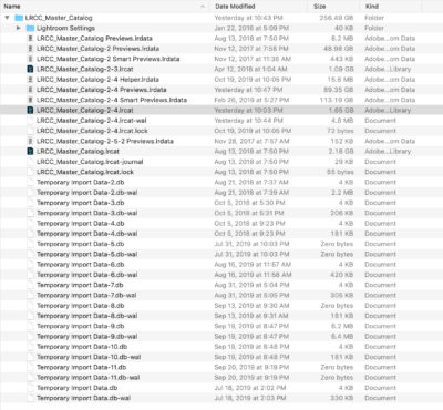 Which Files Can I Delete? - Lightroom Killer Tips