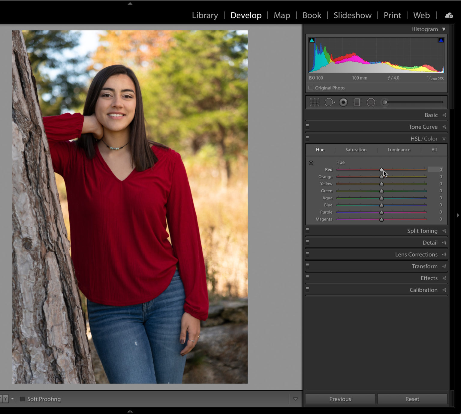 Explore the New Hue Controls in the Local Adjustment Tools - Lightroom