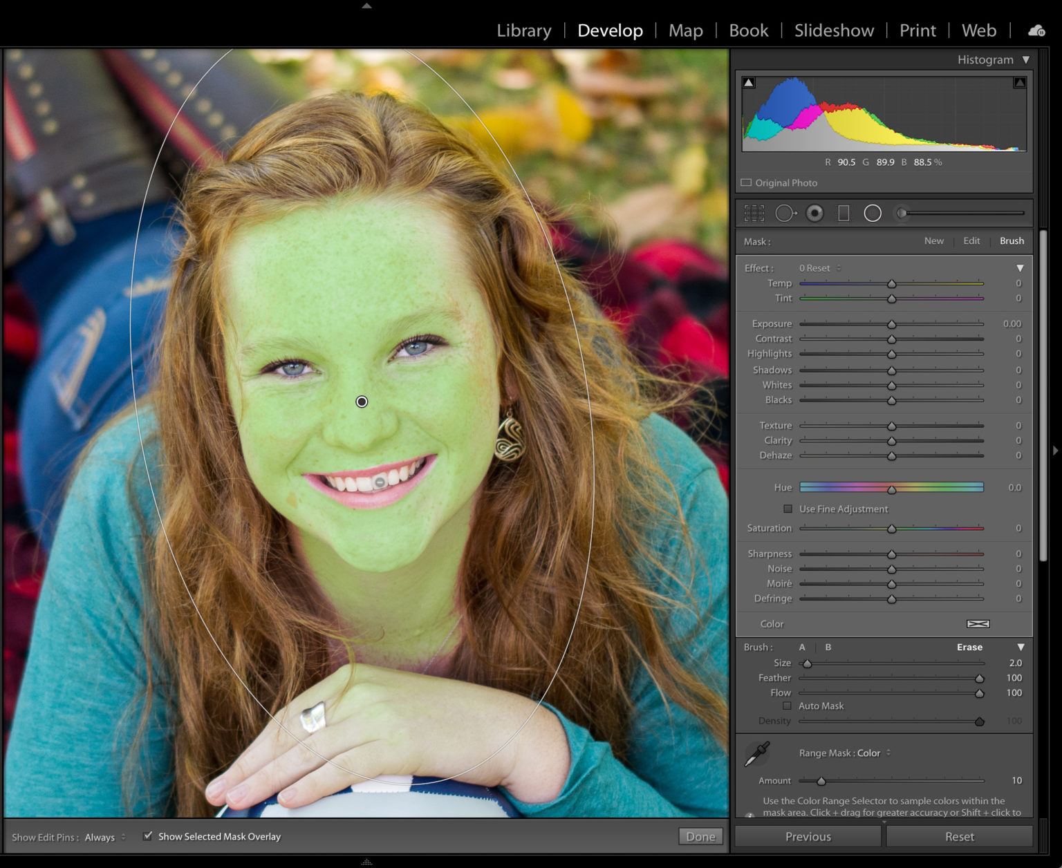 Explore the New Hue Controls in the Local Adjustment Tools - Lightroom