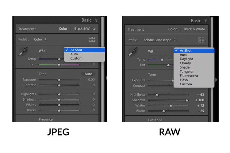 adjusting white balance in lightroom