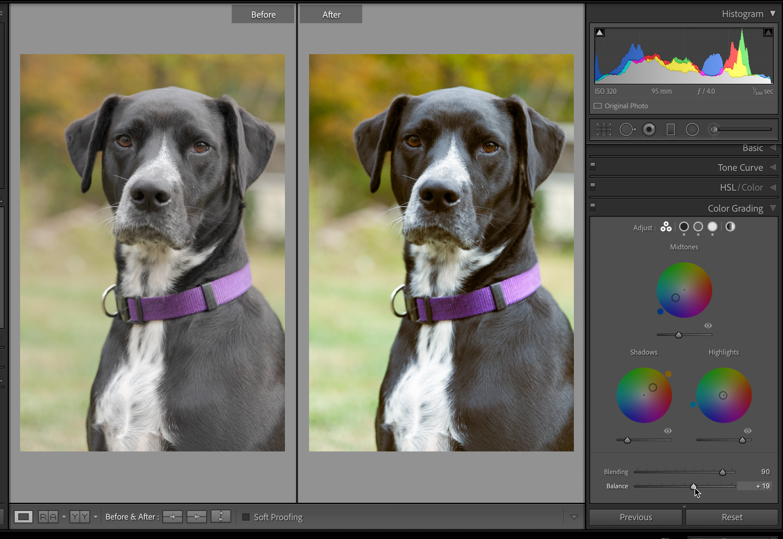 Color grading Lightroom