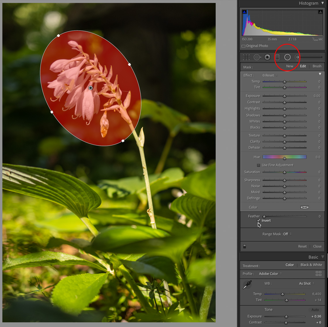 Intersect Mask - Lightroom Killer Tips