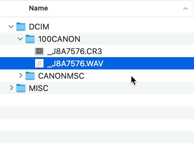 Accessing And Listening To Voice Memos Lightroom Killer Tips