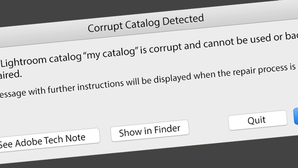 Why You Should Use Lightroom’s Catalog Backup Feature Even If You