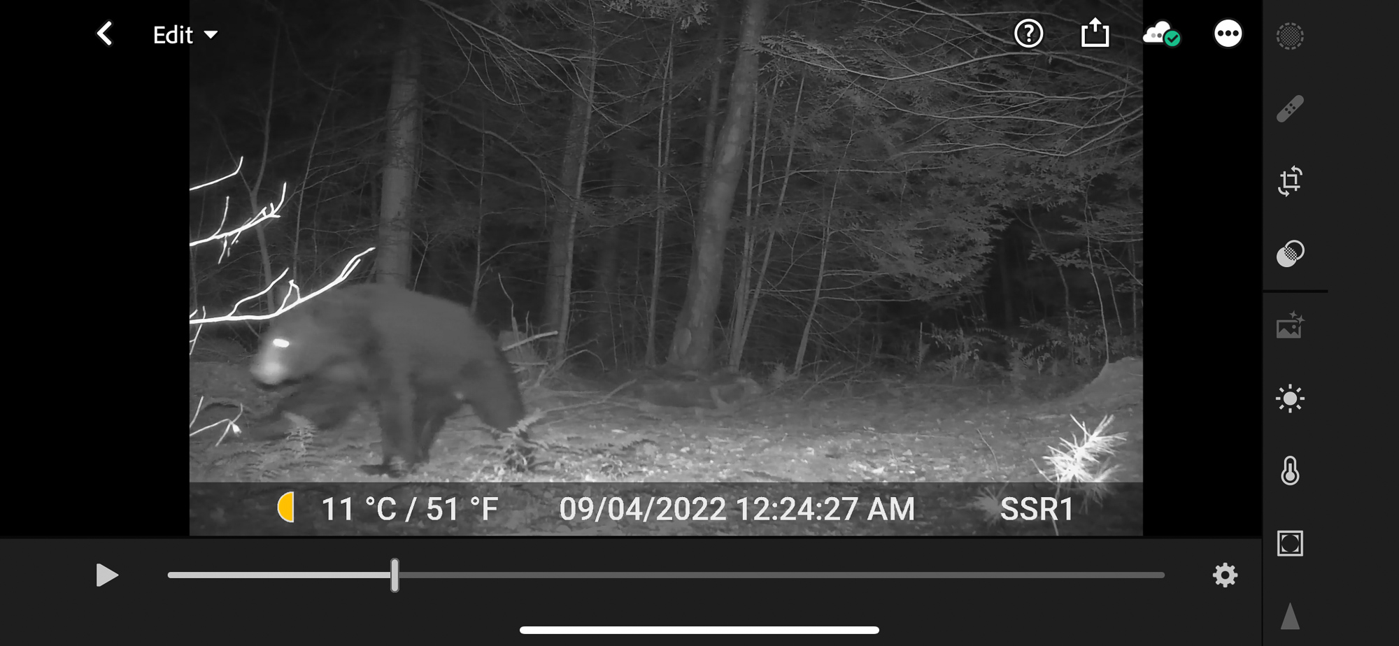 My Trail Cam Workflow Lightroom Killer Tips