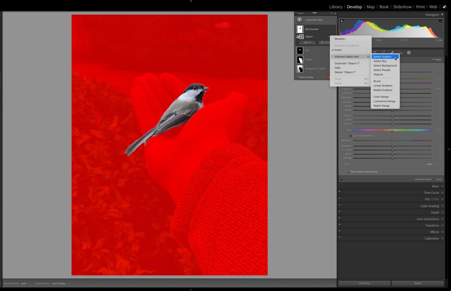 select-objects-lightroom-killer-tips