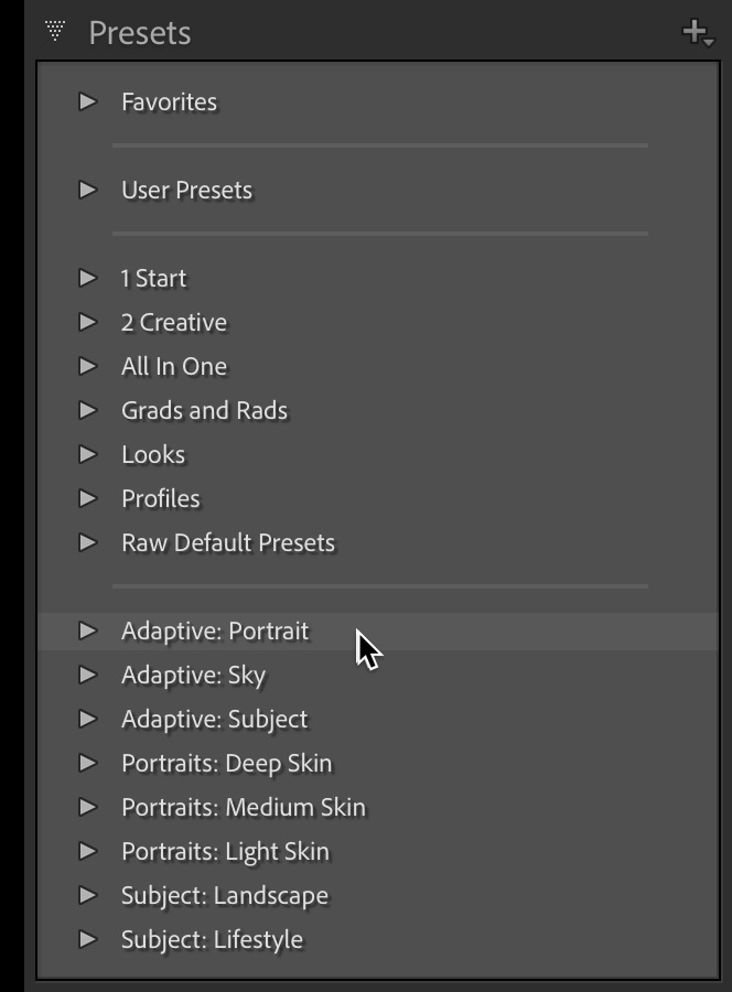 Adaptive Presets in Lightroom Classic: Part 1
