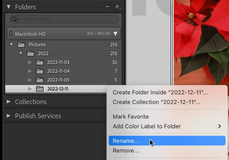 Renamingmania renaming catalogs, folders, collections, photos