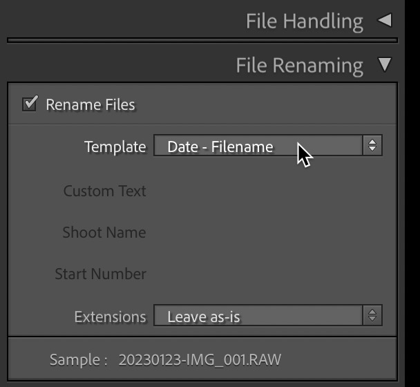 Renaming-mania: renaming catalogs, folders, collections, photos, templates, and presets: Part 2