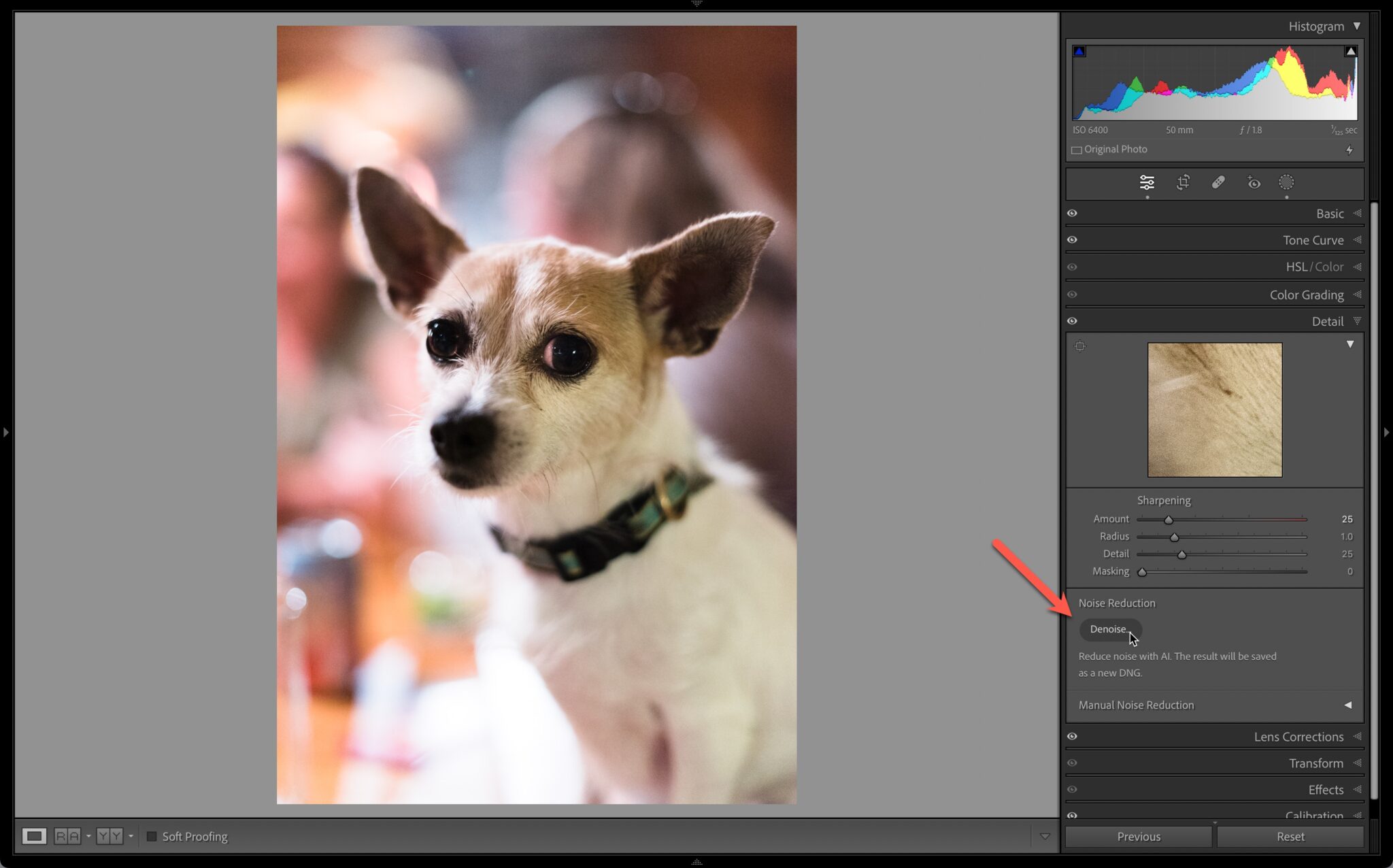 April Updates for Lightroom Classic, Lightroom, and Camera Raw