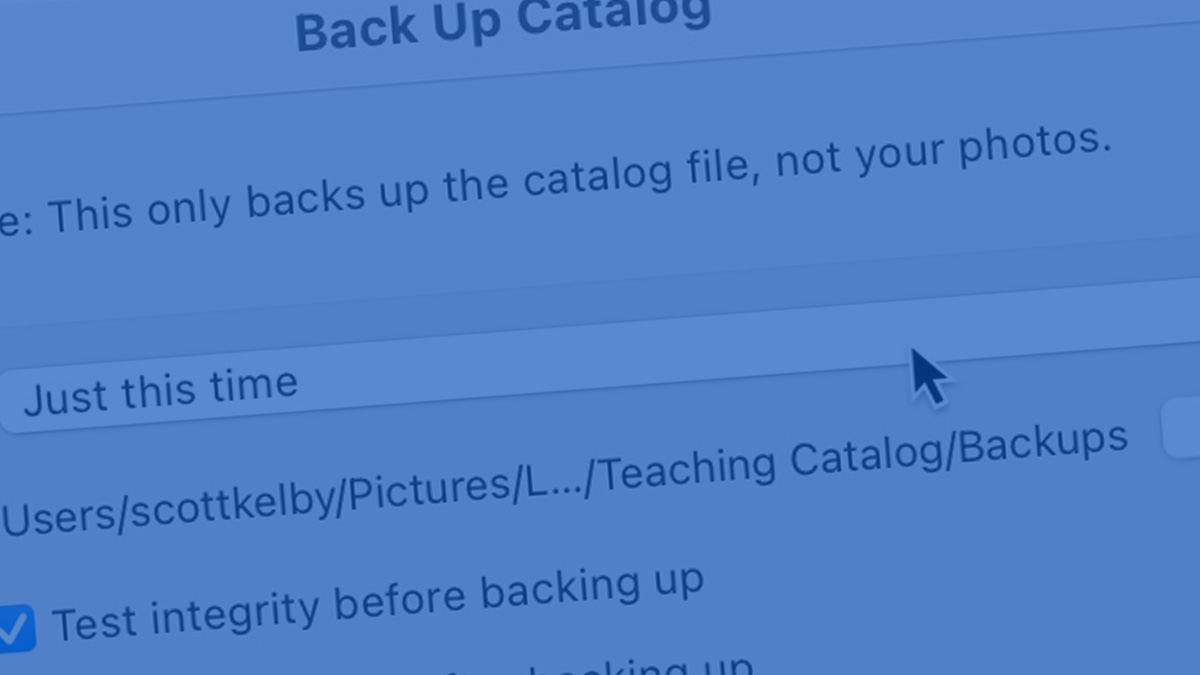 How Often Do You Need to Backup Your Lightroom Classic Catalog