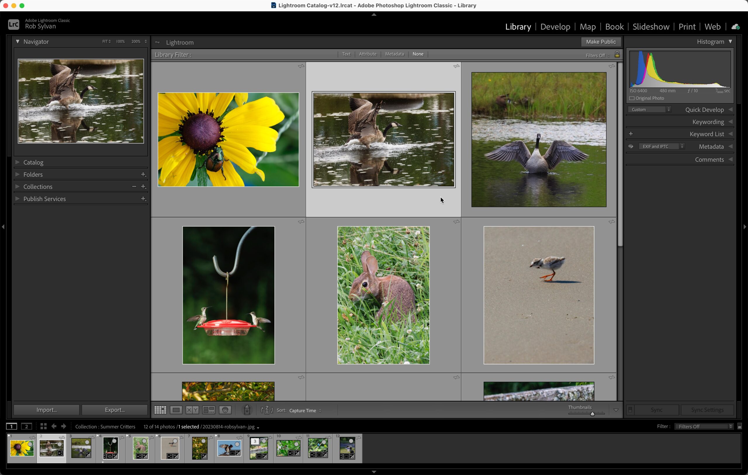 Key Things Everyone Using Lightroom Classic Should Know Part 1