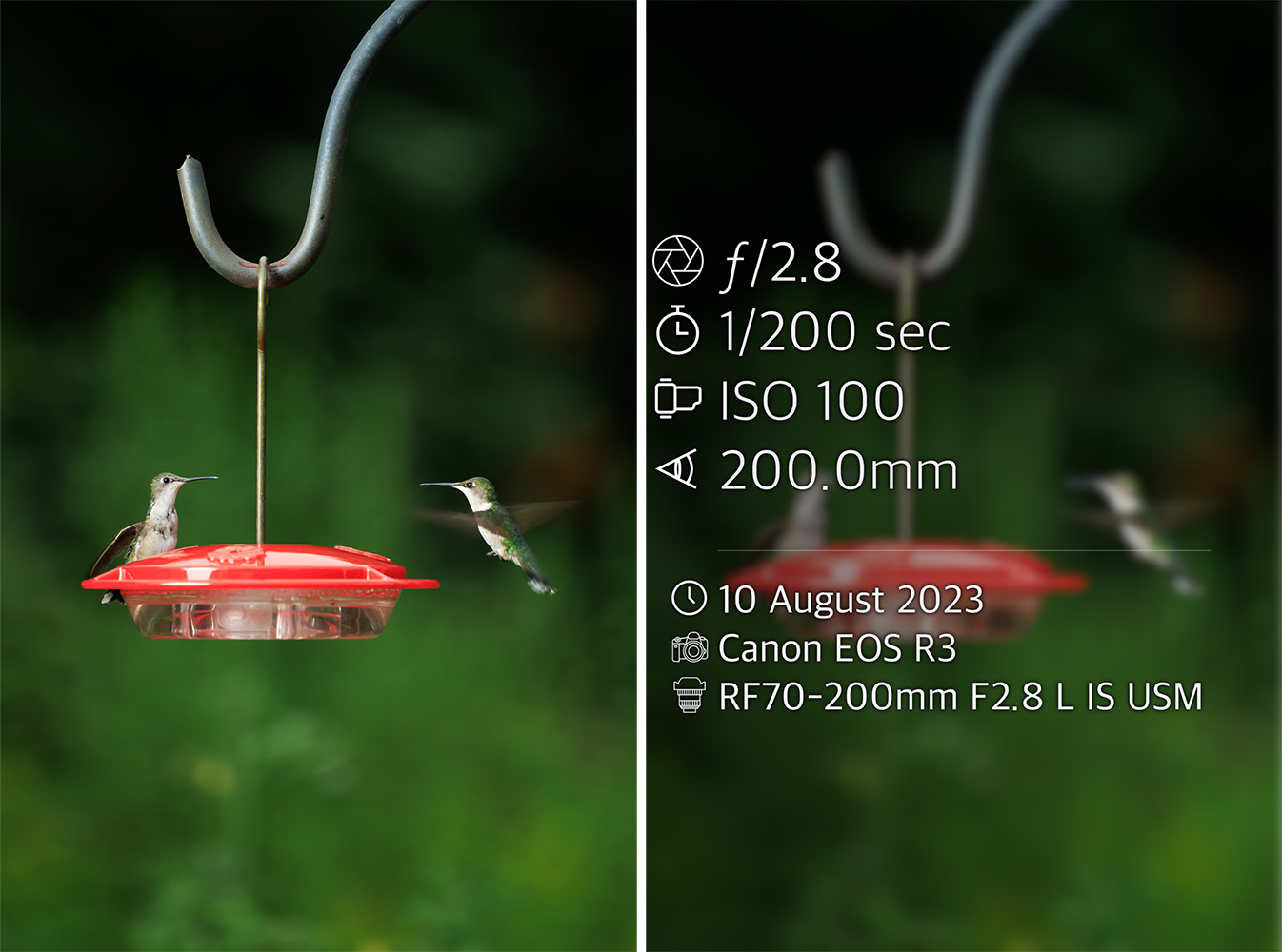 Create a Photo Summary in Lightroom Classic Export Lightroom Killer Tips