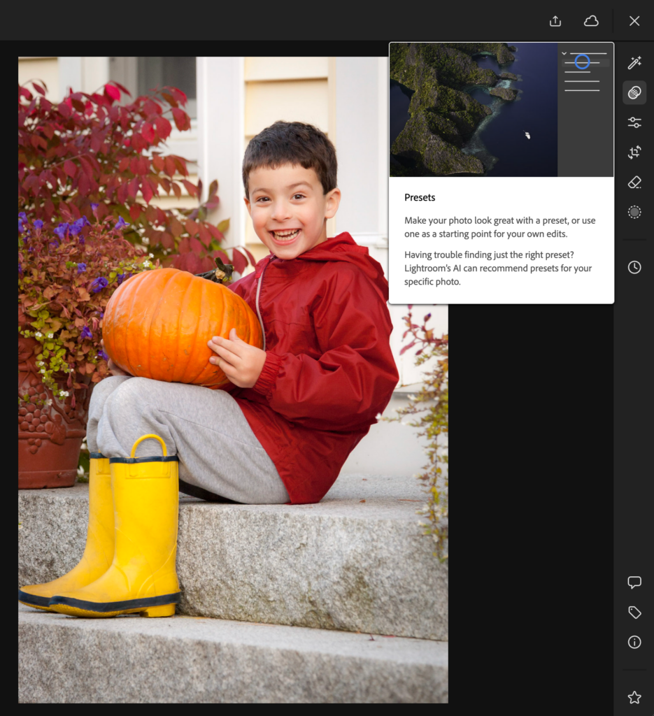 Adaptive Presets on Lightroom Web