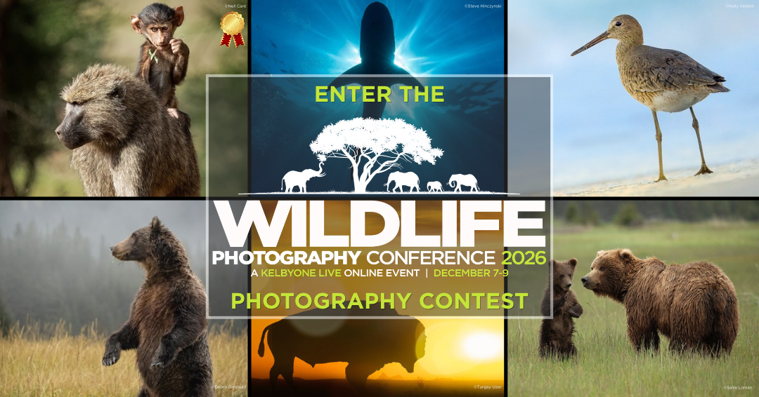 Enter the Wildlife Photography Conference Photography Contest!
